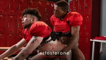 Mad Fuckers: Testosterone